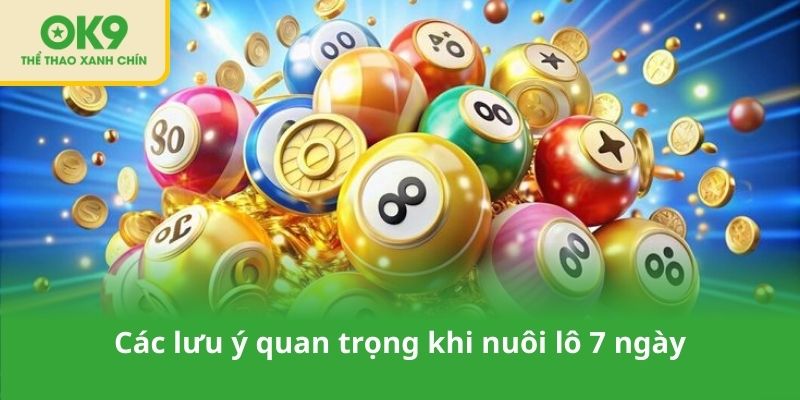 Các lưu ý quan trọng khi nuôi lô 7 ngày