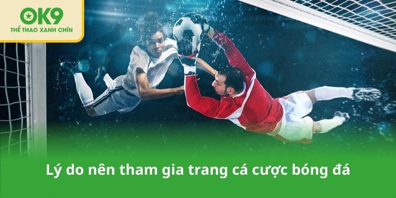 Lý do nên tham gia trang cá cược bóng đá