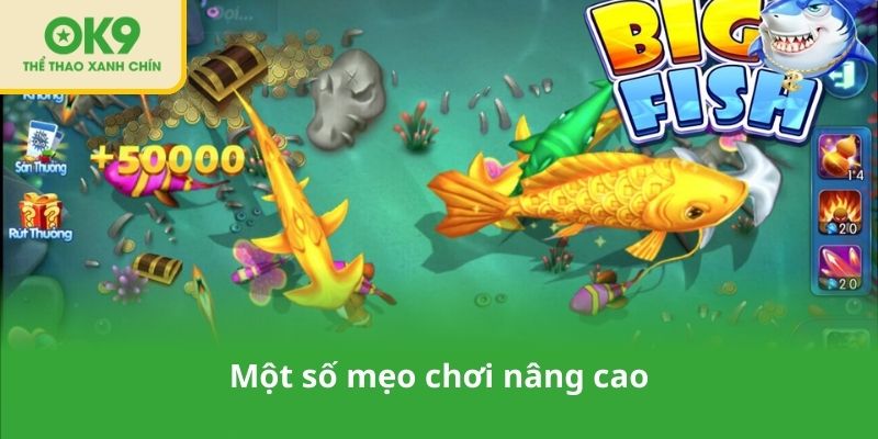 Một số mẹo chơi nâng cao