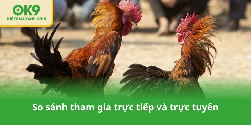 So sánh tham gia trực tiếp và trực tuyến